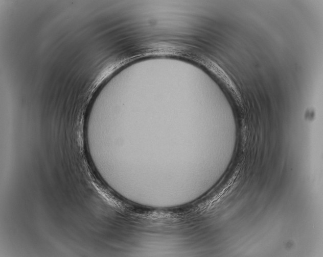 X0000097910842200804111111