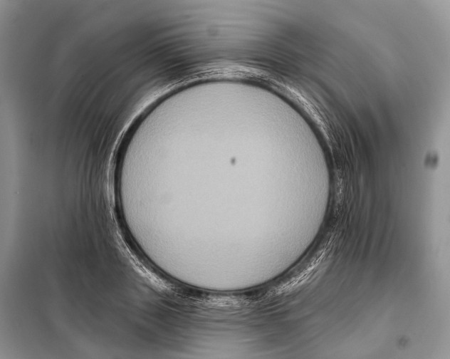 X0000097910843200804111111