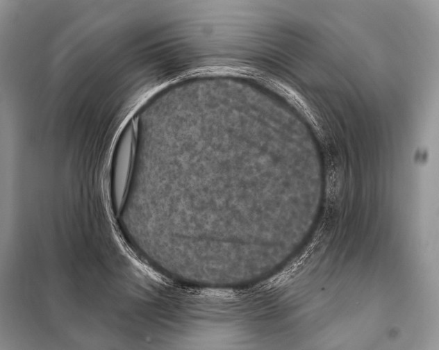 X0000097910844200804111111