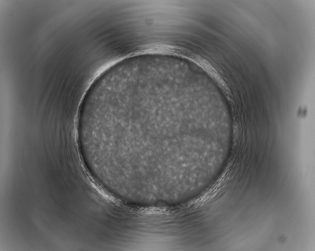 X0000097910846200804111111