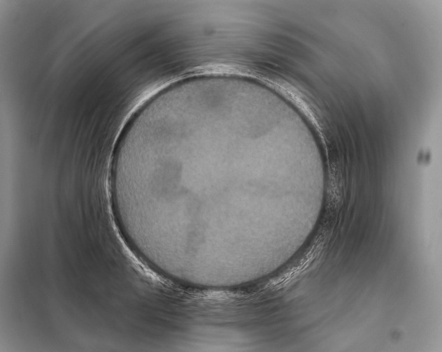 X0000097910847200804111111