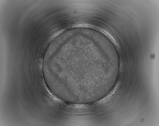 X0000097910849200804111111