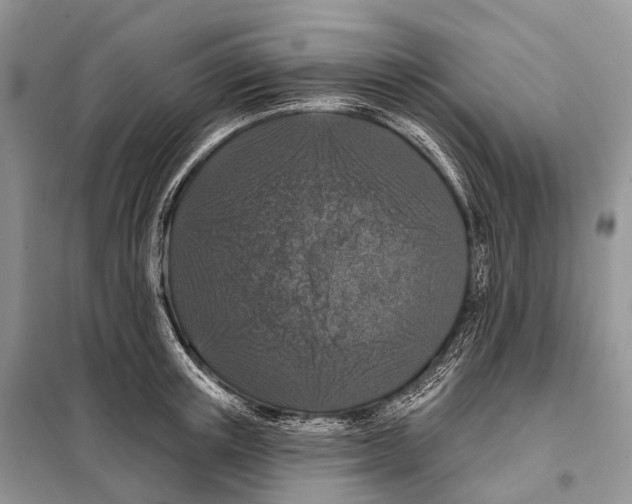 X0000097910851200804111111