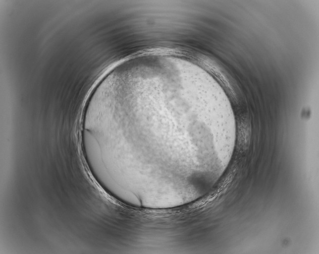 X0000097910852200804111111