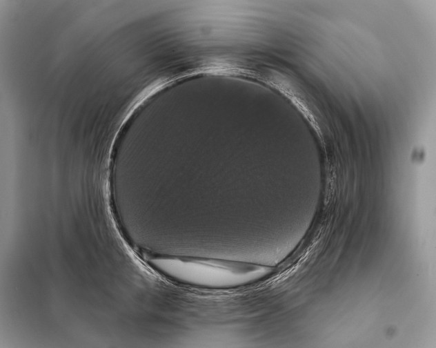 X0000097910853200804111111