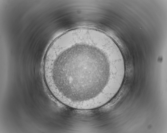 X0000097910856200804111111