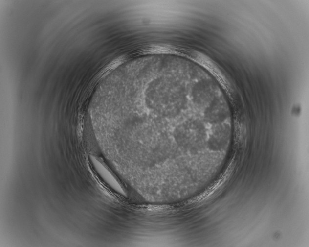 X0000097910857200804111111