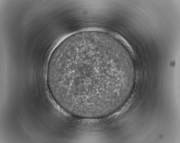 X0000097910860200804111111