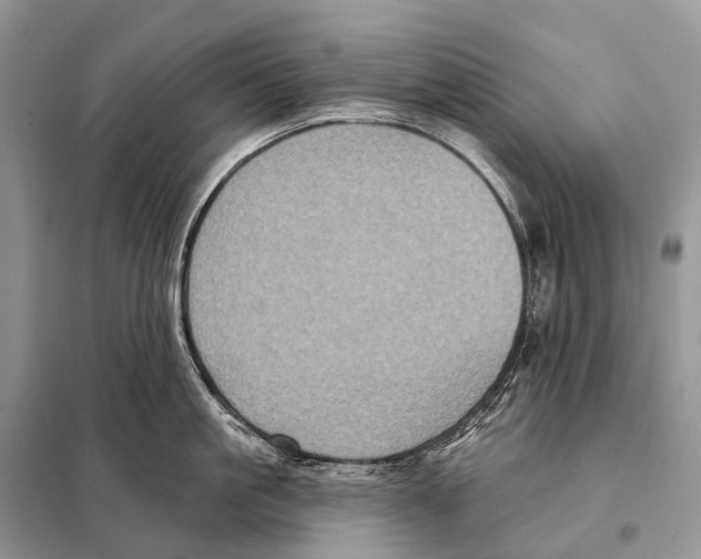 X0000097910861200804111111