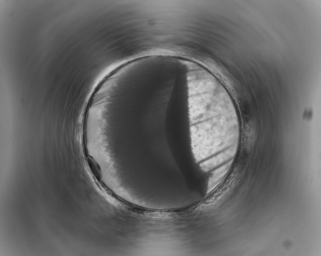 X0000097910862200804111111