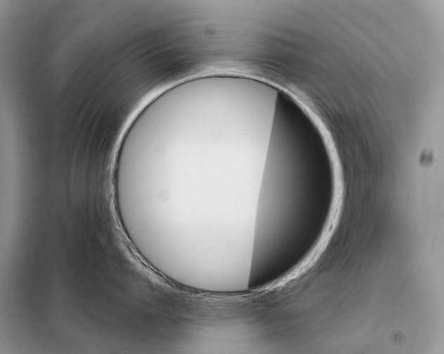 X0000097910864200804111111