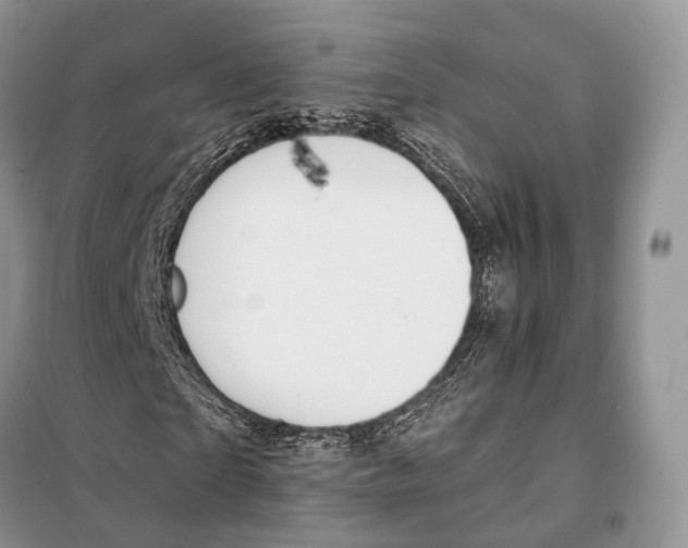 X0000097910865200804111110