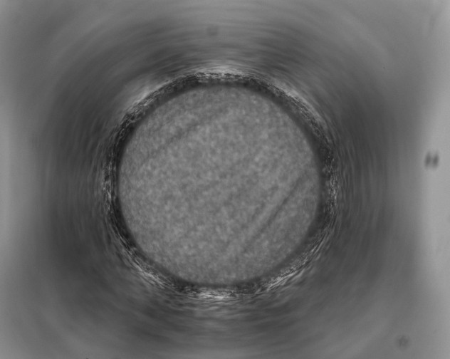 X0000097910870200804111110