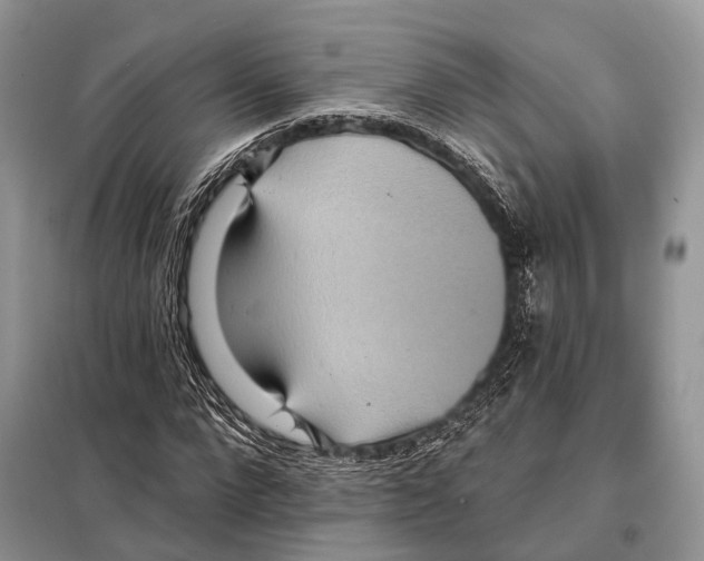 X0000097910872200804111110