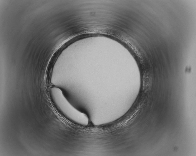 X0000097910876200804111110