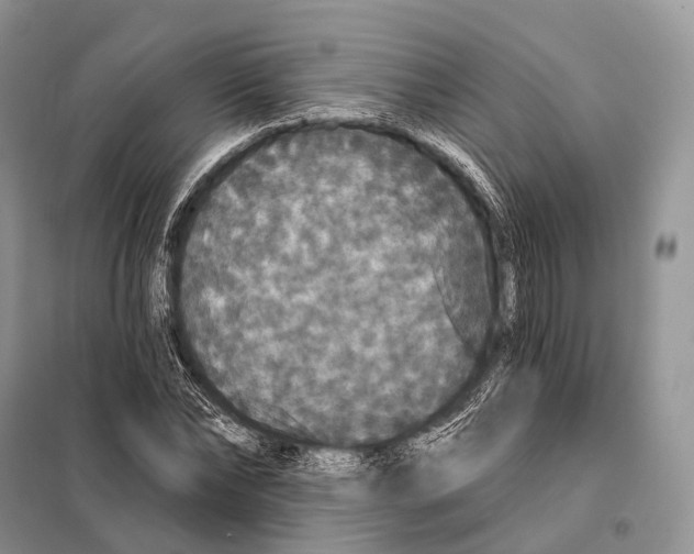 X0000097910878200804111110