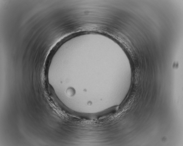 X0000097910880200804111110