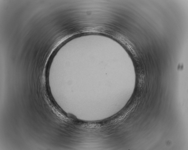 X0000097910884200804111110