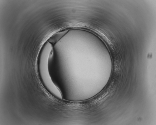 X0000097910885200804111110