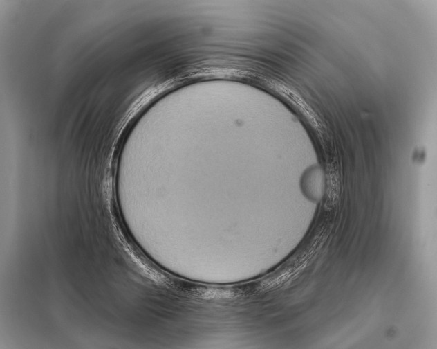 X0000097910890200804111110