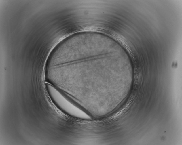 X0000097910892200804111110