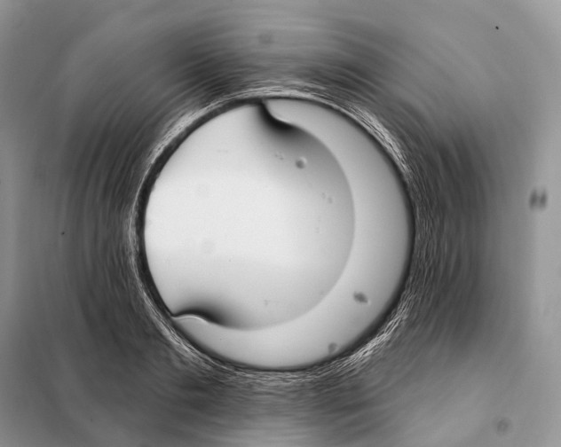 X0000097910893200804111110