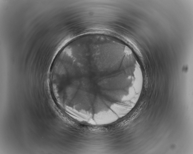 X0000097910899200804111109