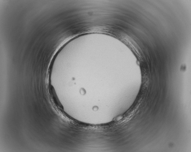 X0000097910900200804111109