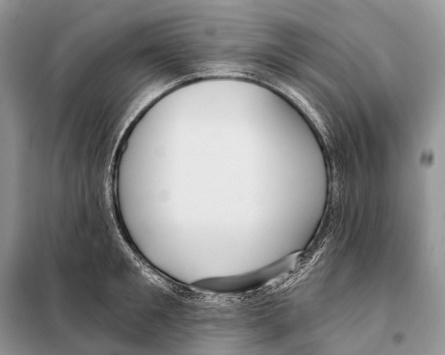 X0000097910901200804111109