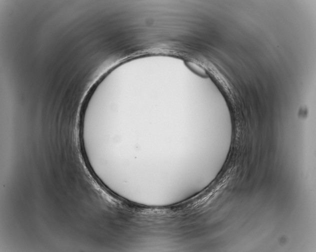 X0000097910902200804111109