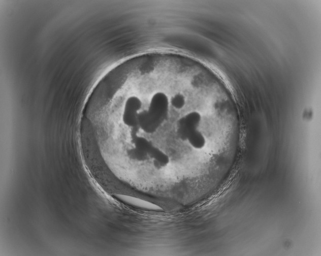 X0000097910903200804111109