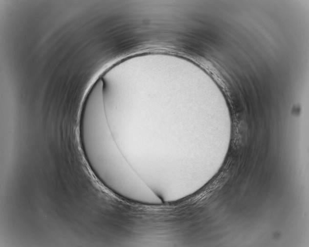 X0000097910904200804111109