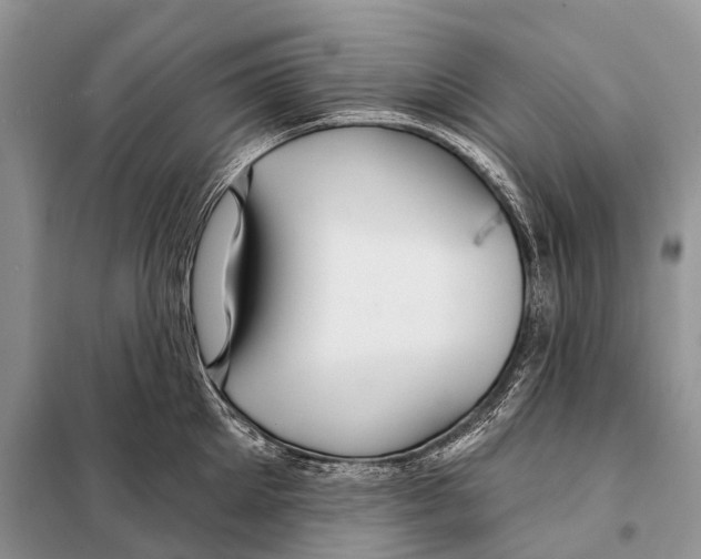 X0000097910905200804111109