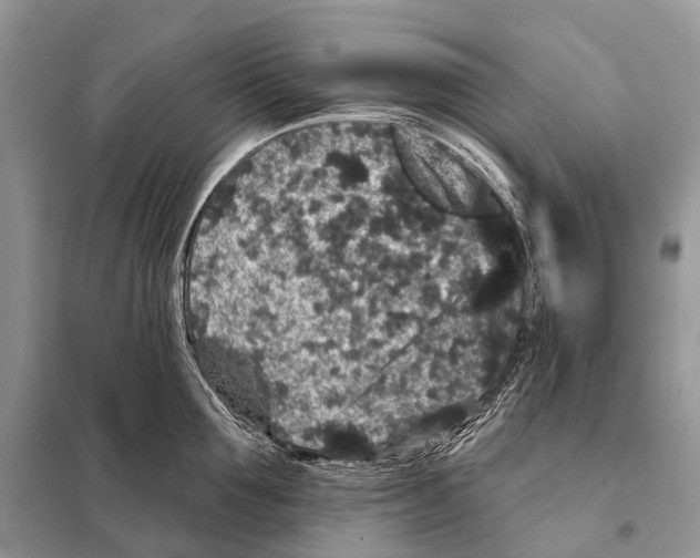 X0000097910907200804111109