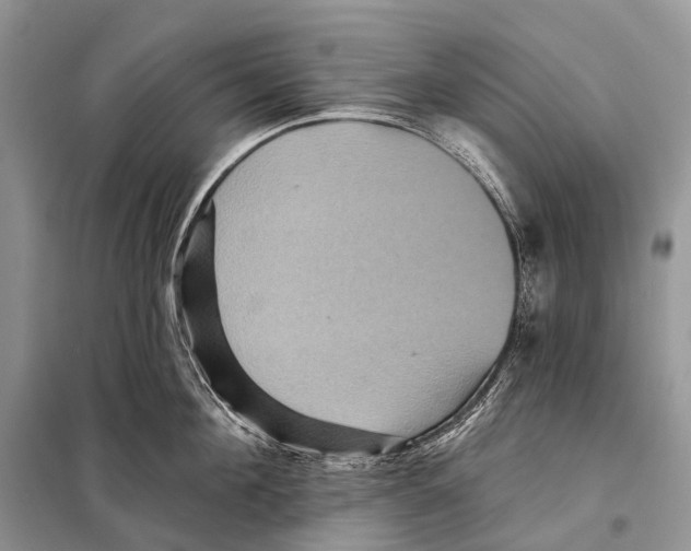 X0000097910908200804111109