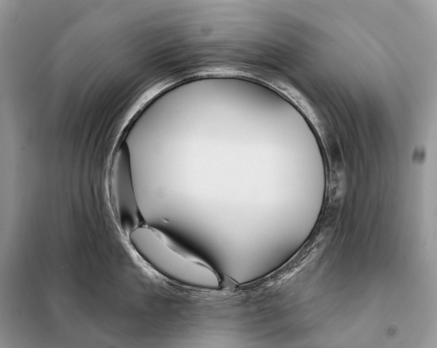 X0000097910909200804111109