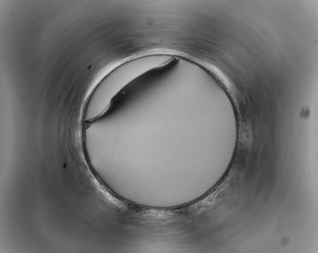 X0000097910910200804111109