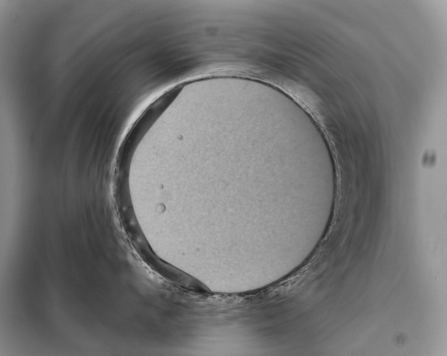 X0000097910912200804111109