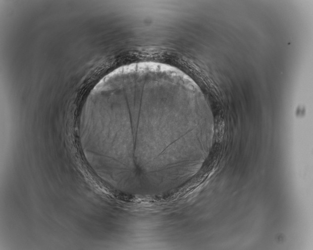 X0000097910913200804111108