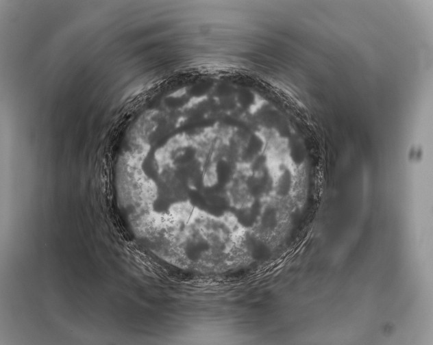 X0000097910917200804111108