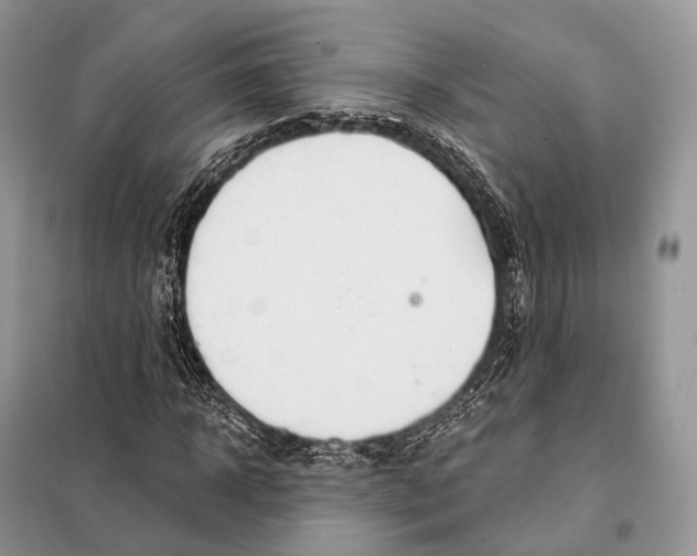 X0000097910918200804111108