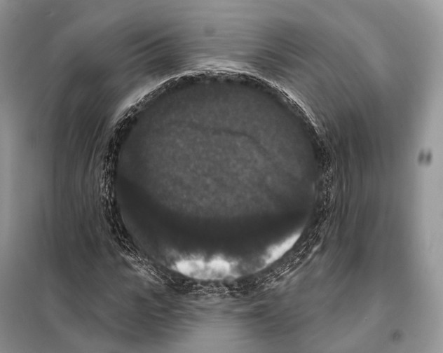 X0000097910919200804111108