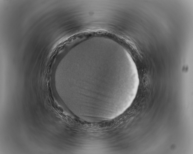 X0000097910920200804111109