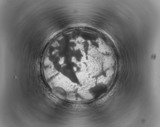 X0000097910921200804111109