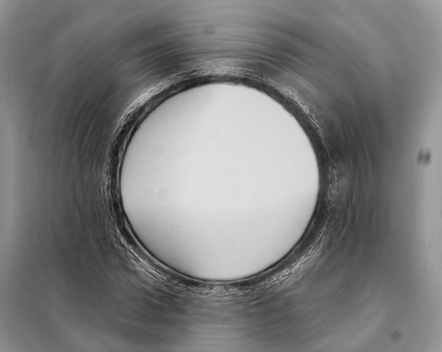 X0000097910922200804111109