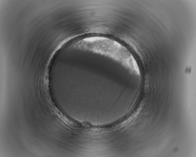 X0000097910923200804111109