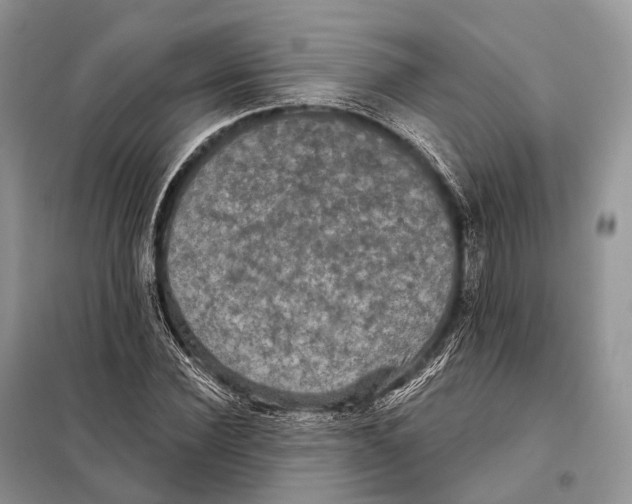 X0000097910924200804111109