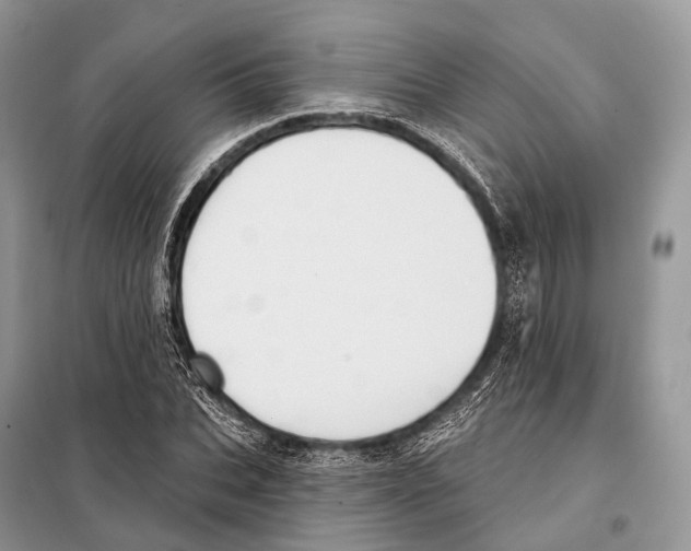 X0000097910927200804111109