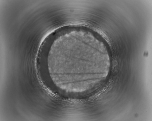 X0000097910928200804111109