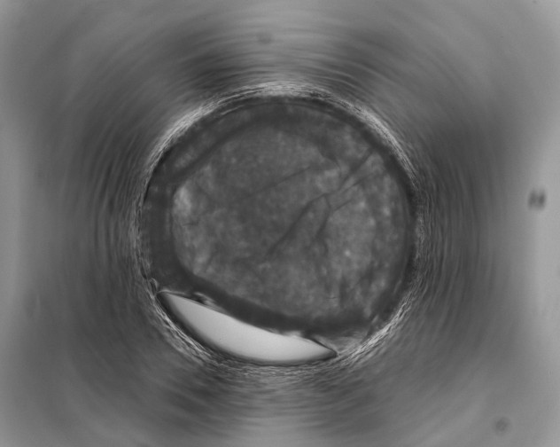 X0000097910930200804111109